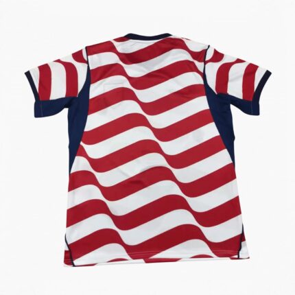 USA 2026 home fan jersey back view