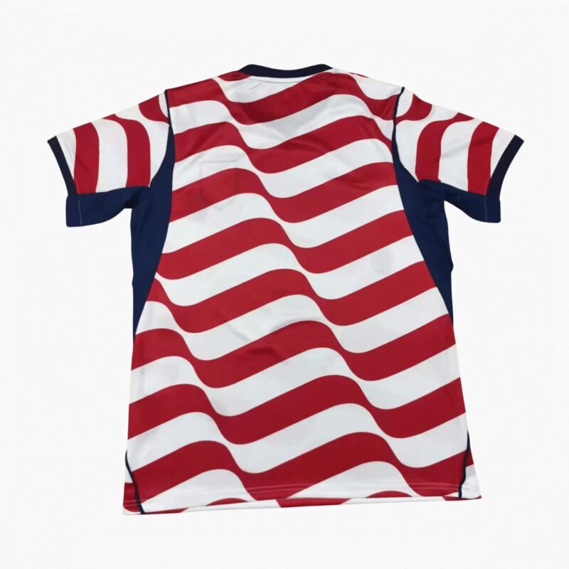 USA 2026 home fan jersey back view